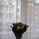 Downtown With Balcony & Optional Garage & Restaurant In The Building Βουδαπέστη