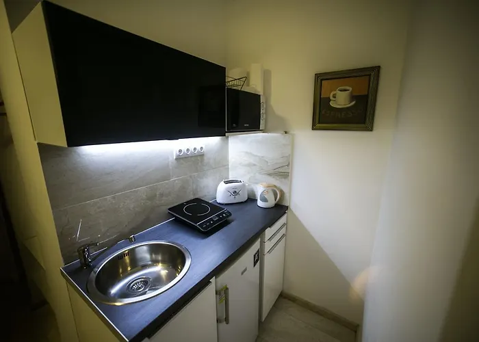 Downtown With Balcony & Optional Garage & Restaurant In The Building Apartament Budapesta