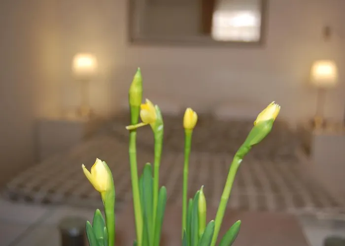 Downtown With Balcony & Optional Garage & Restaurant In The Building * Budapesta