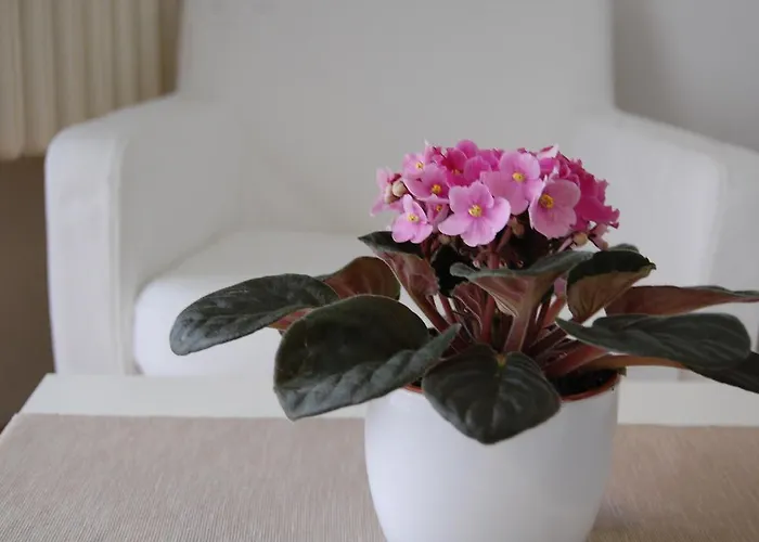 Downtown With Balcony & Optional Garage & Restaurant In The Building Budapesta